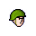 petcsi