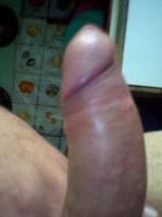 dragon79