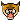kandurmarci kandurmarci