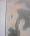frufus frufus